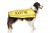 ADOPT ME, Dog Coat. Dog awareness and Safety Coat, Yellow colour coded.