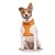 NO DOGS, Dog Vest Harness Orange Colour Code