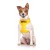 NERVOUS DOG, Dog Vest Harness Yellow Colour Code