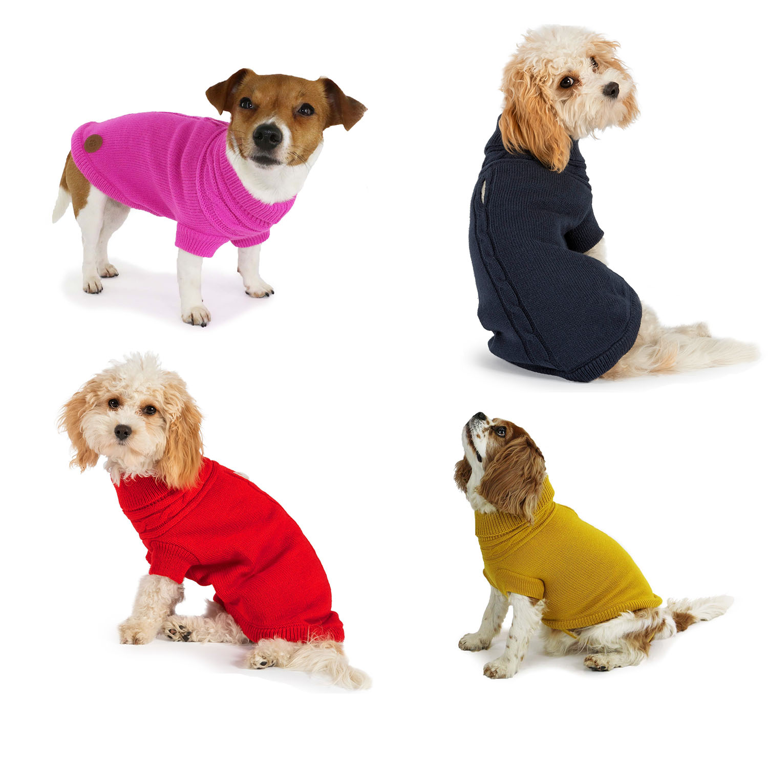 Dog Jumpers