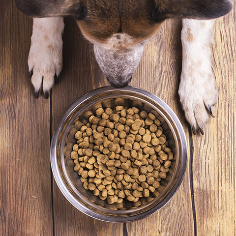 air dried dog food