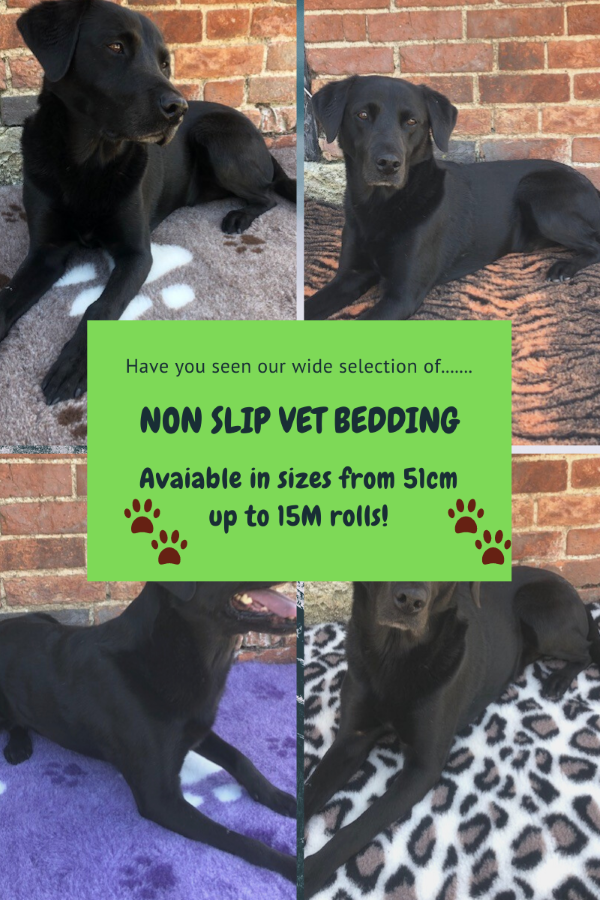 Reasons we LOVE Non Slip Vet Bedding!