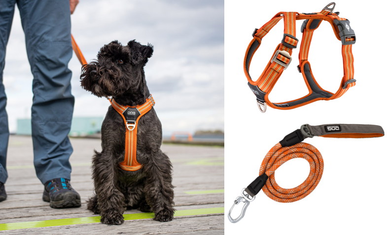 Nouveau Harnais DOG COPENHAGEN Comfort Walk Air