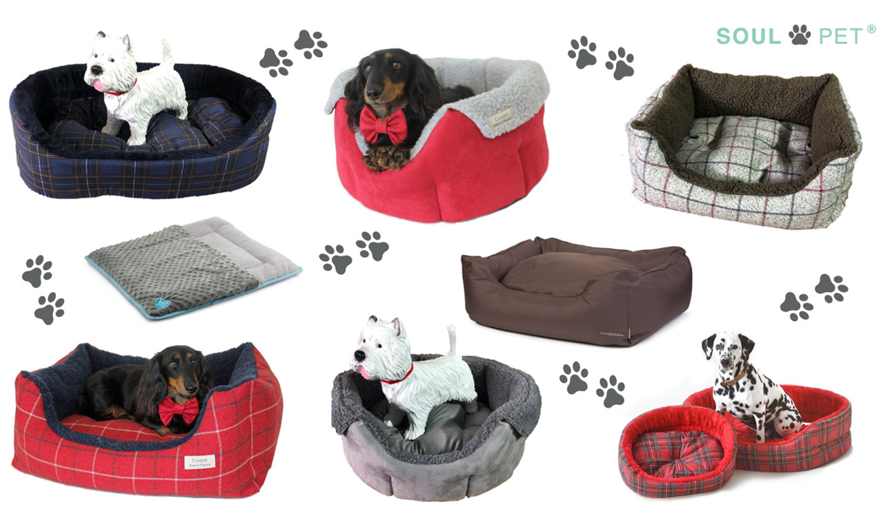 Latest News about Dog & Pet Beds