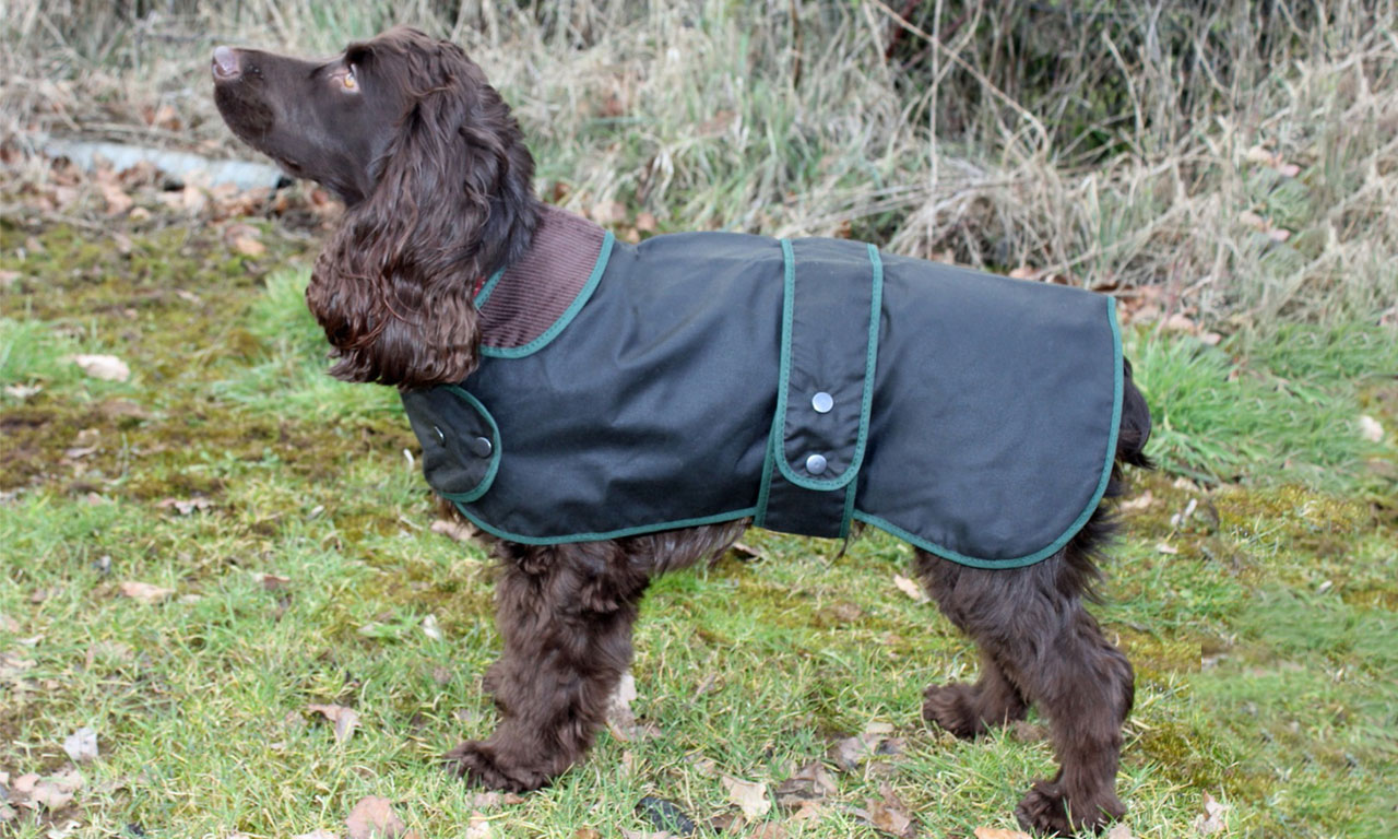 Hunting Wax Jackets for Dogs