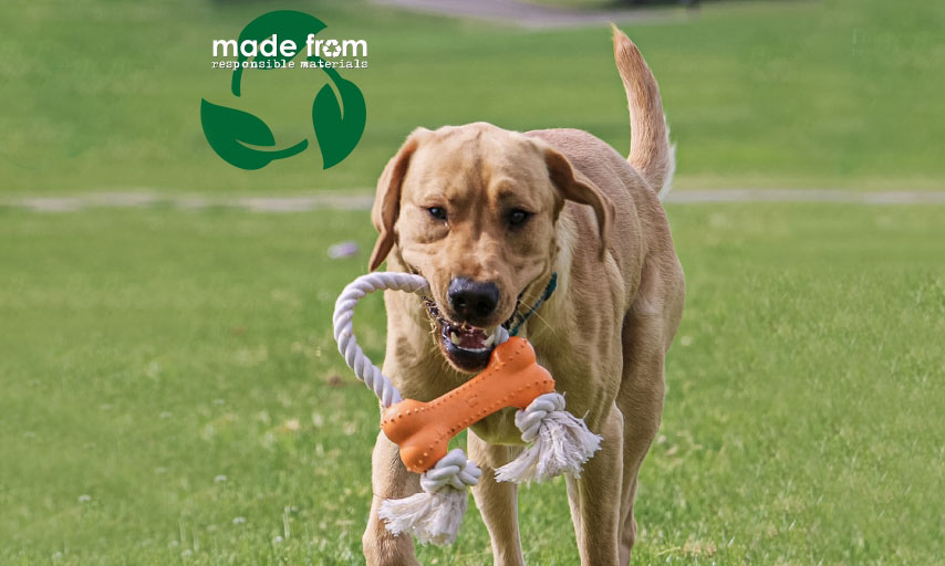 New eco-friendly dog toys!