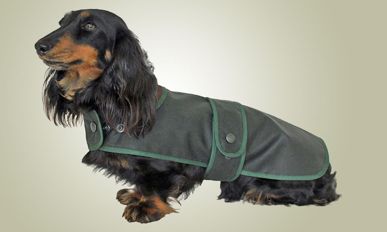 New sizes for the Dachshund coats added!