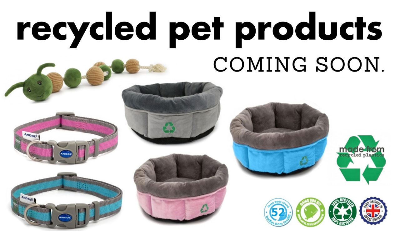 Recycled pet accessories coming soon!