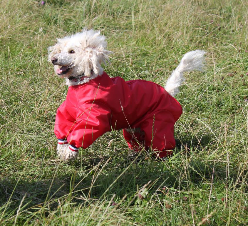 Waterproofs required for a very wet Wednesday!