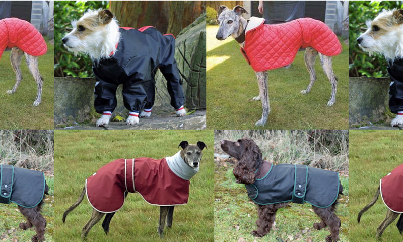 Dog coat season is upon us!