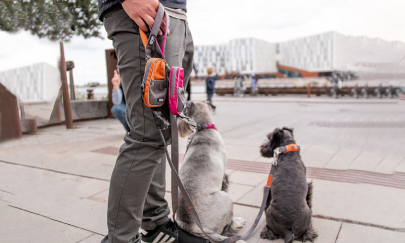 Excellent new dog walking accessory from Dog Copenhagen!