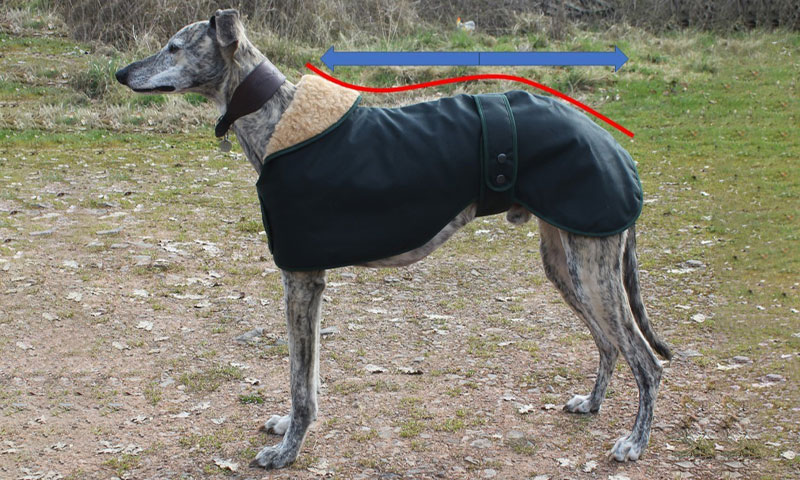 Large 32 Grey Hound Lurcher Dog Coats