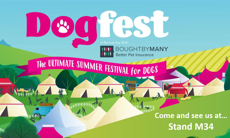 Looking forward to Dog Fest!
