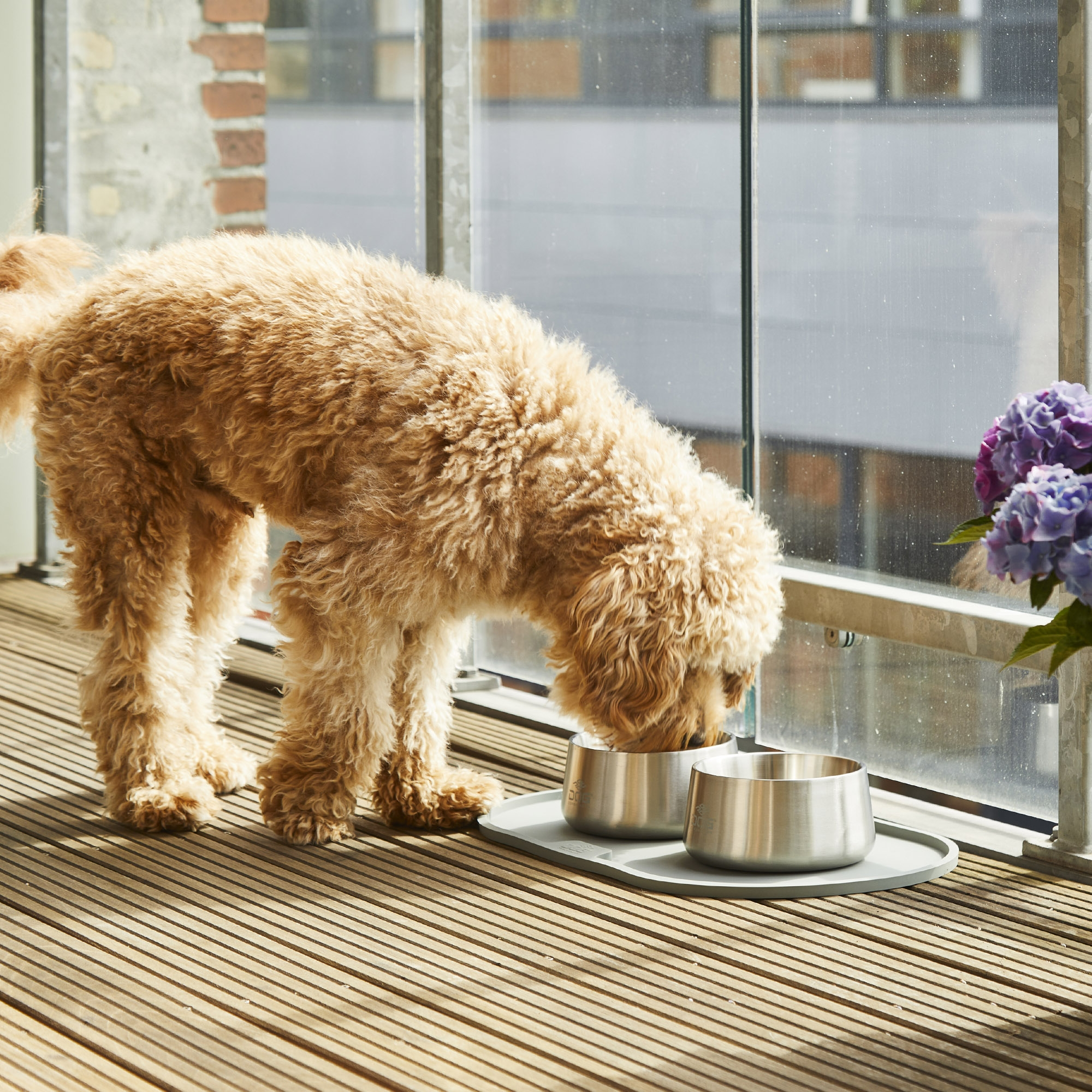 Compliment your home decor with these gorgeous indoor pet accessories!