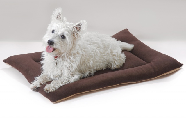 Dog Bed Mattress Cushion tan faux suede and brown fleece