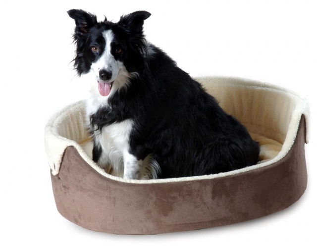 Chelsea Button-Down Dog Bed