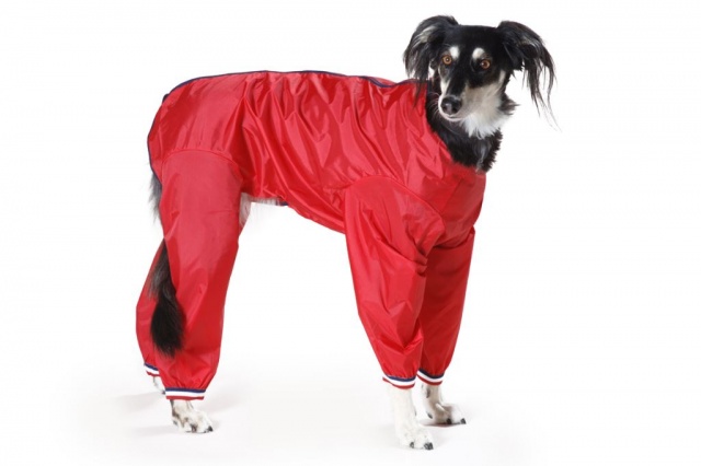Waterproof Nylon Dog Suit (Dog Coat) in Black,Navy or All