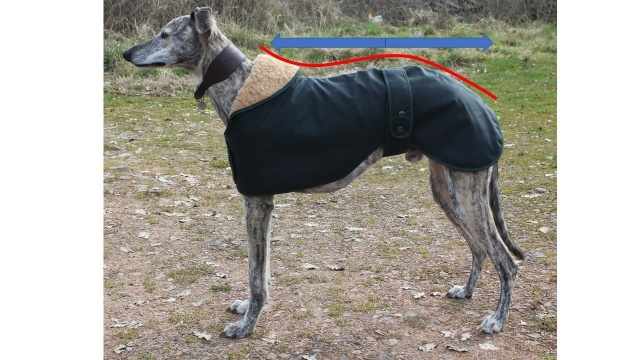 Greyhound Polo Fleece Dog Coat