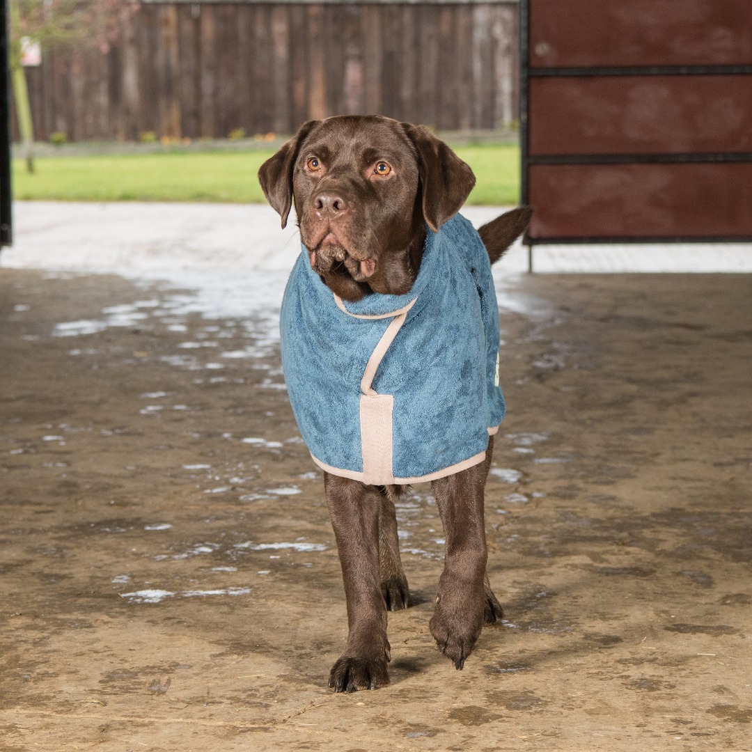 Ruff & Tumble Cotton Drying Coat in four colours to suit most breeds