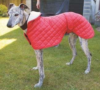 Greyhound Showerproof Quilted Nylon Anorak Dog Coat