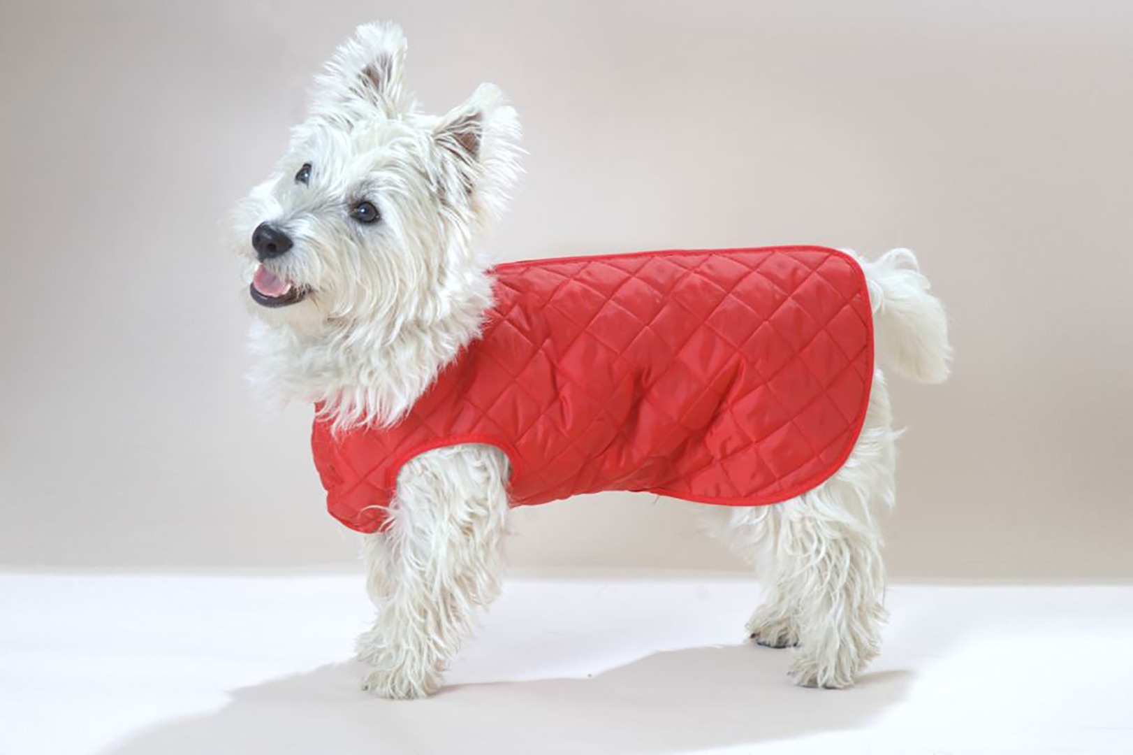 Showerproof All-in-one Quilted Step-in Suit Dog Coat