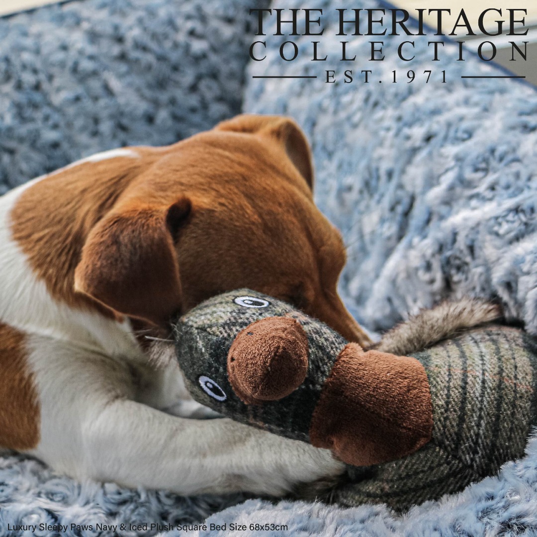 Heritage Toy Duck For Dogs