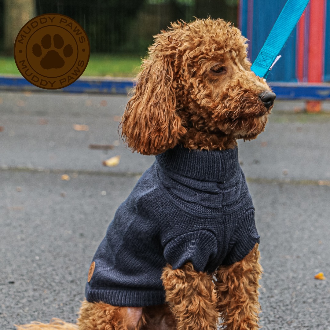 Blue  Cable Knit Dog Jumpers