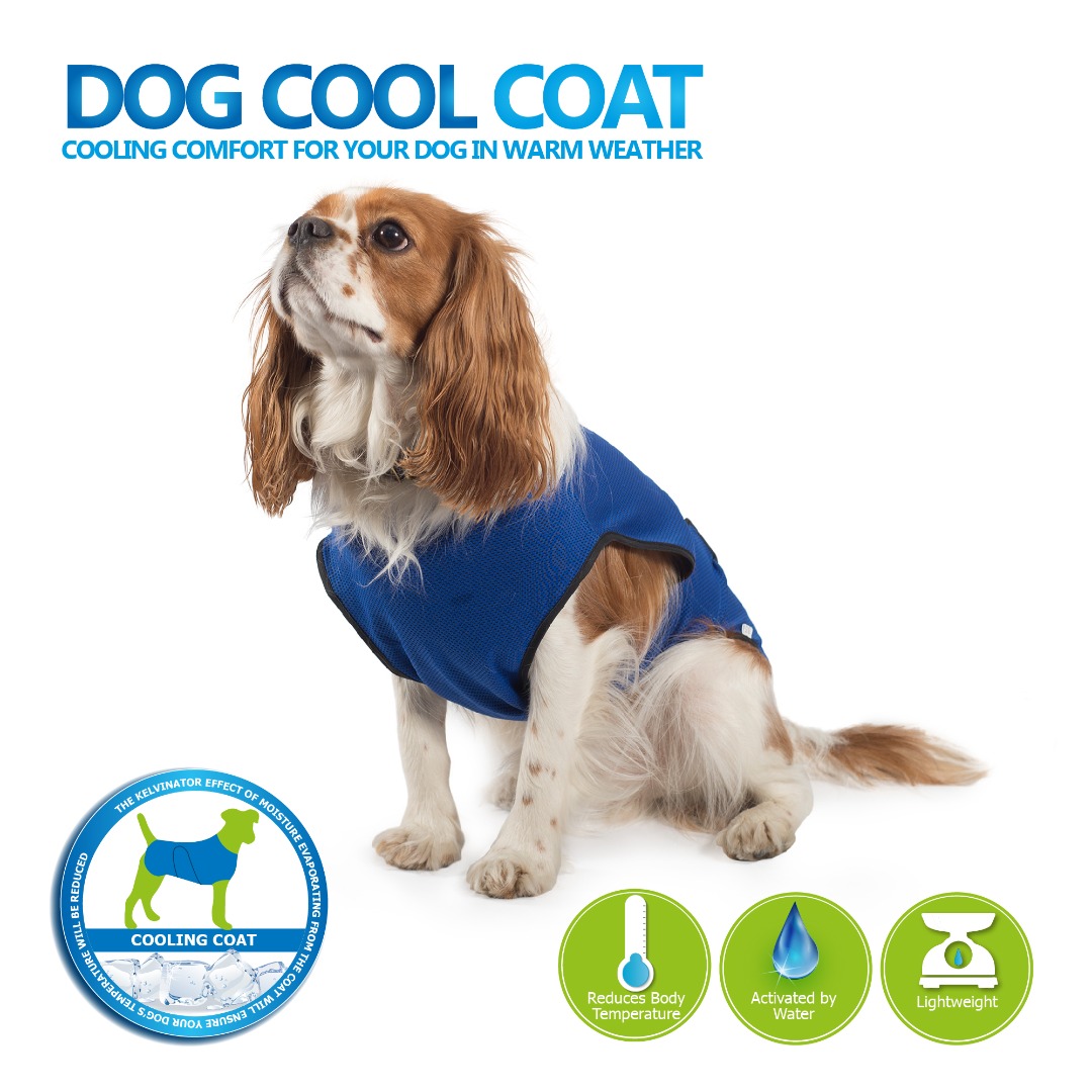 DOG COOLING COAT Blue 6 Sizes