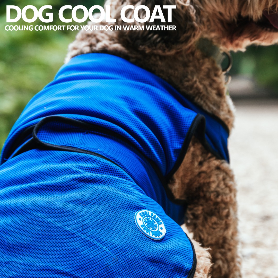 DOG COOLING COAT Blue 6 Sizes