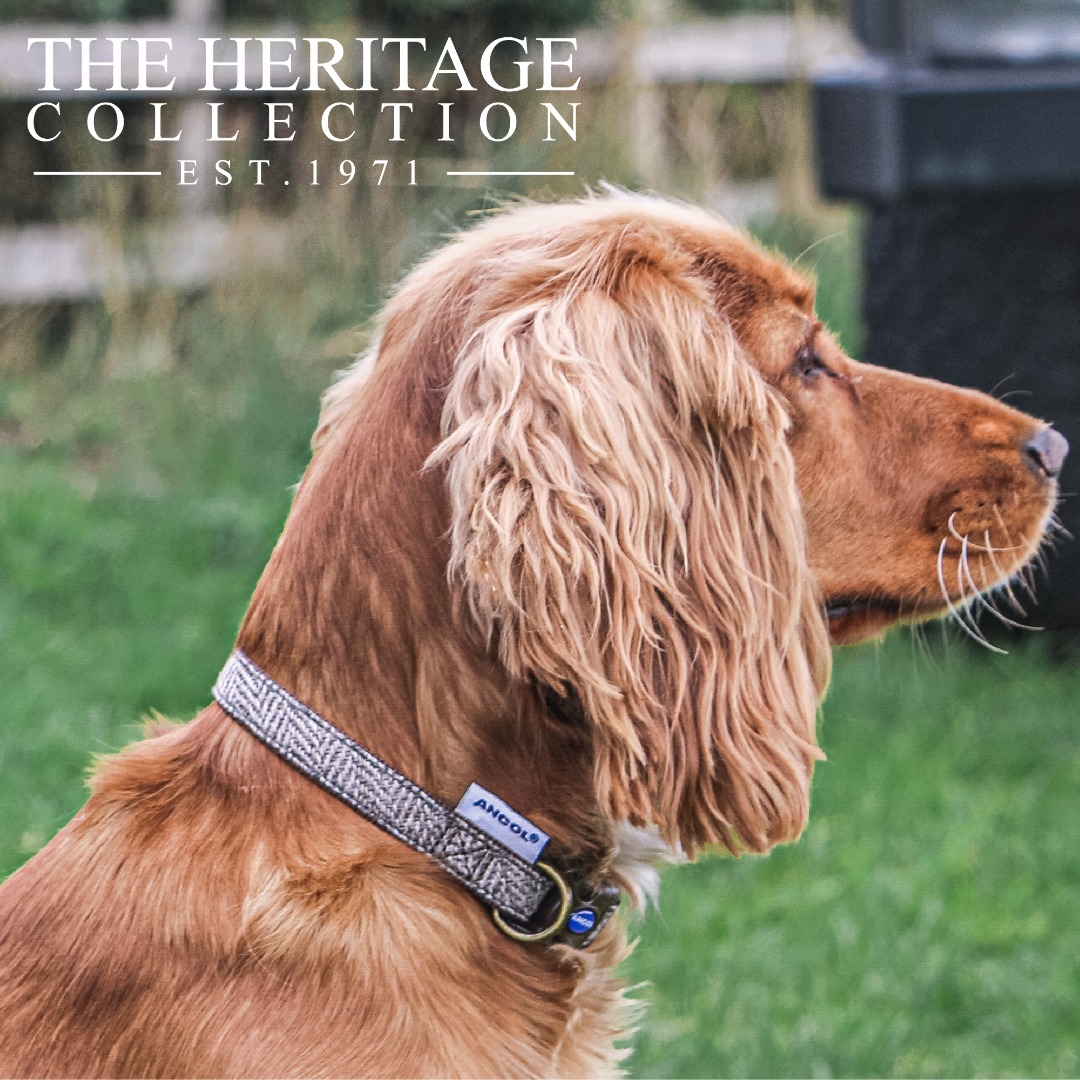 Ancol Heritage Country  Adjustable Dog Collars