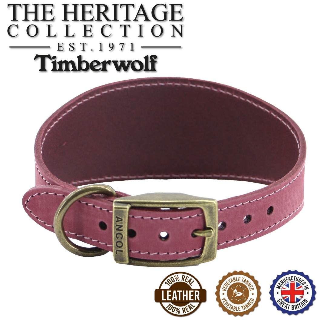 Ancol Timberwolf Greyhound Dog Collar