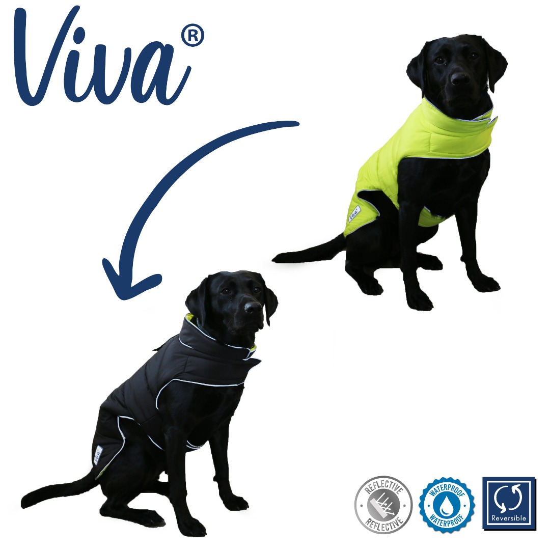 Ancol Reversible Black Hi-Vis Puffer Dog Coat