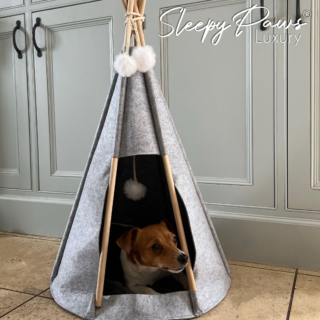 Cat Tepee Bed Cosy Retreat For Cats