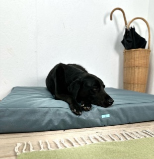 Grey Waterproof Orthopaedic Dog Mattress 14cm Thick Firm Dog Bed