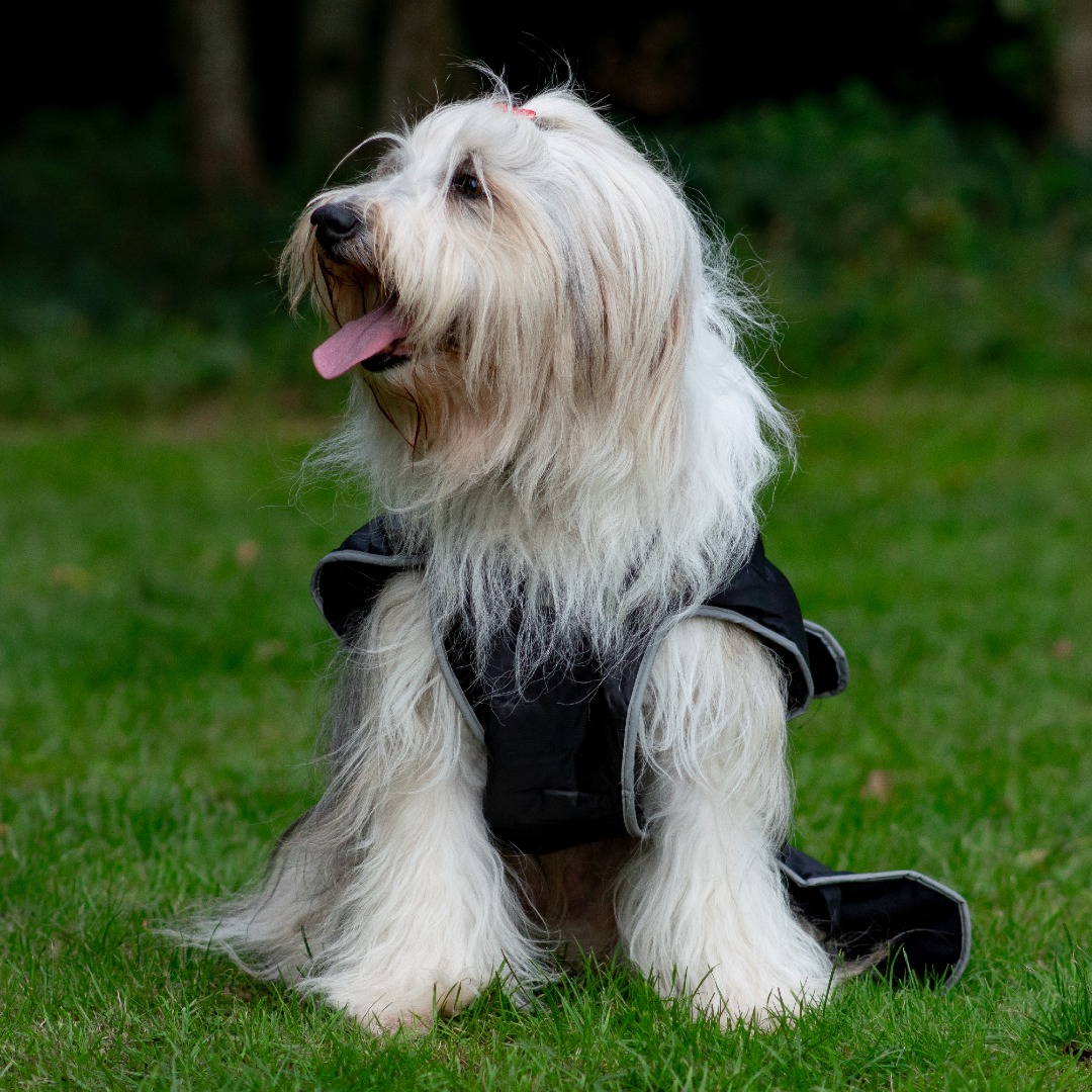 Muddy paws dog fleece online