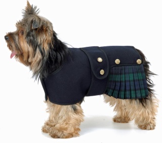 Black Kilt Jacket Dog Coat Royal Stewart or Black Watch Tartan
