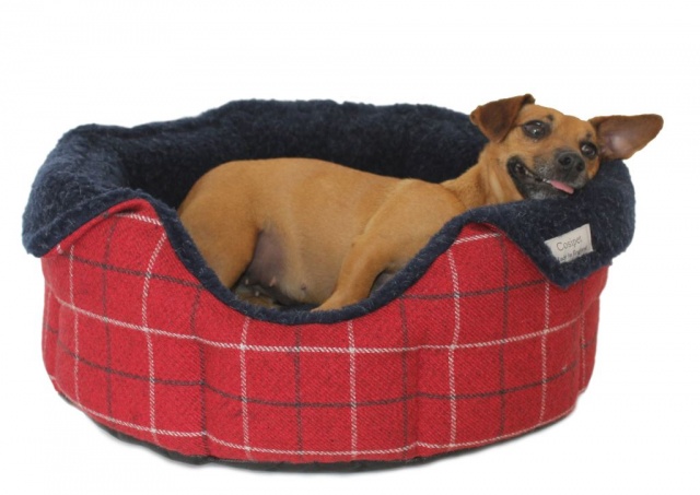 deep sided dog bed