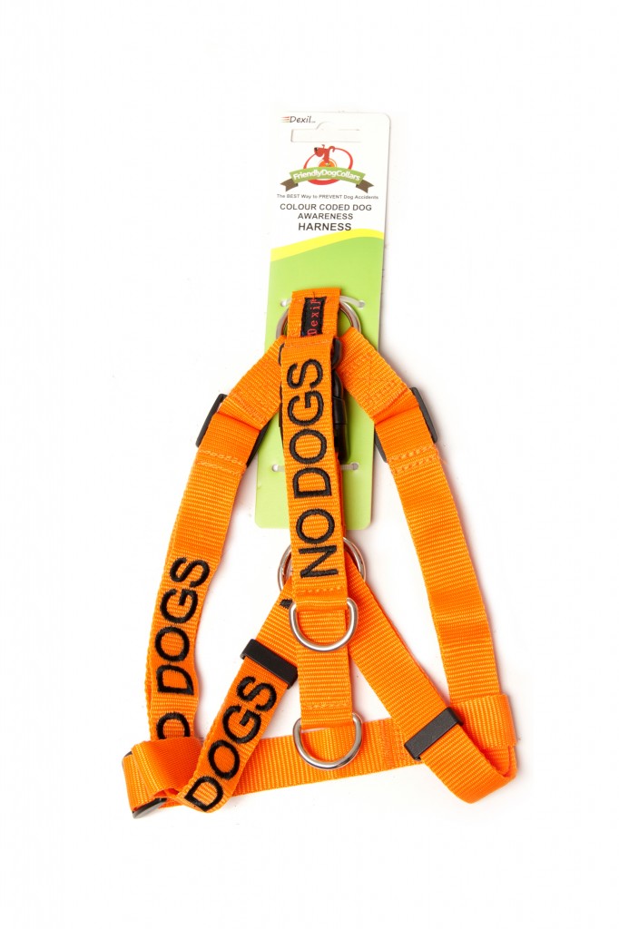 NO DOG,  Dog Strap Harness Orange Colour Coded