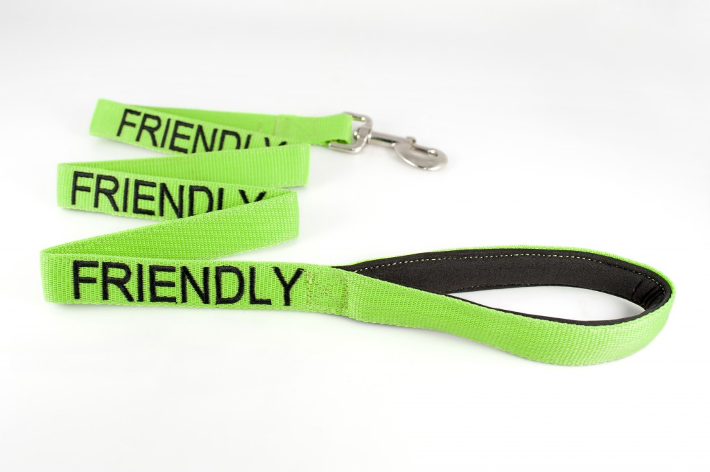FRIENDLY DOG,  Dog Lead Leash with padded Handle  Green Colour Coded
