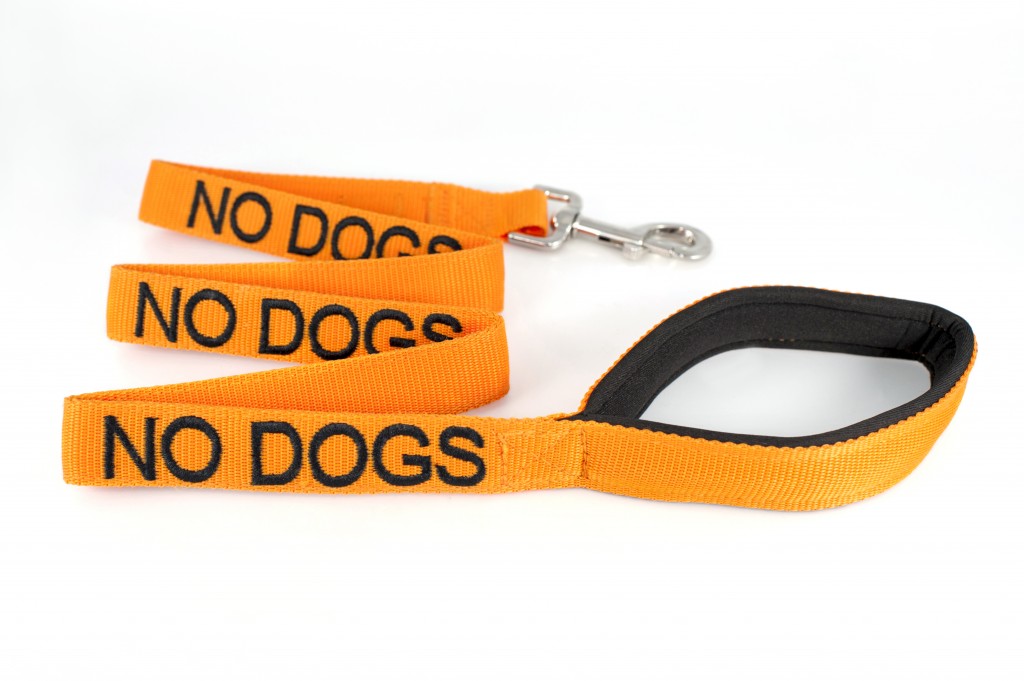 NO DOG,  Dog Lead Leash with padded Handle  Orange Colour Coded