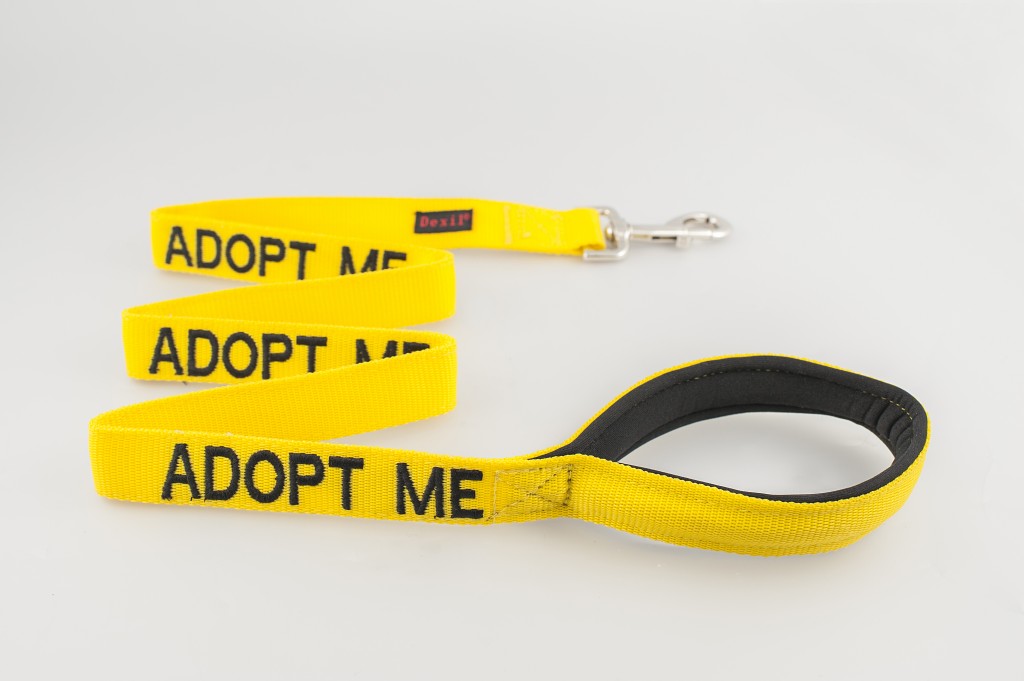 ADOPT ME DOG,  Dog Lead Leash with padded Handle  Yellow Colour Coded