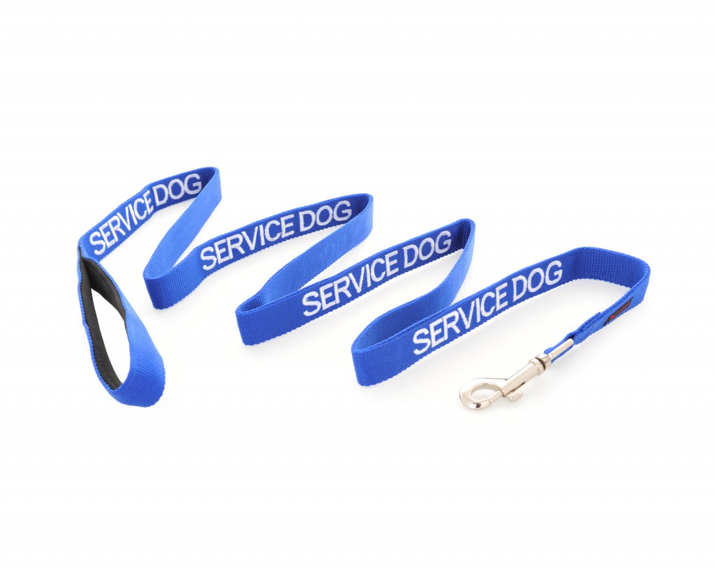 SERVICE DOG,  Dog Lead Leash with padded Handle  Blue Colour Coded