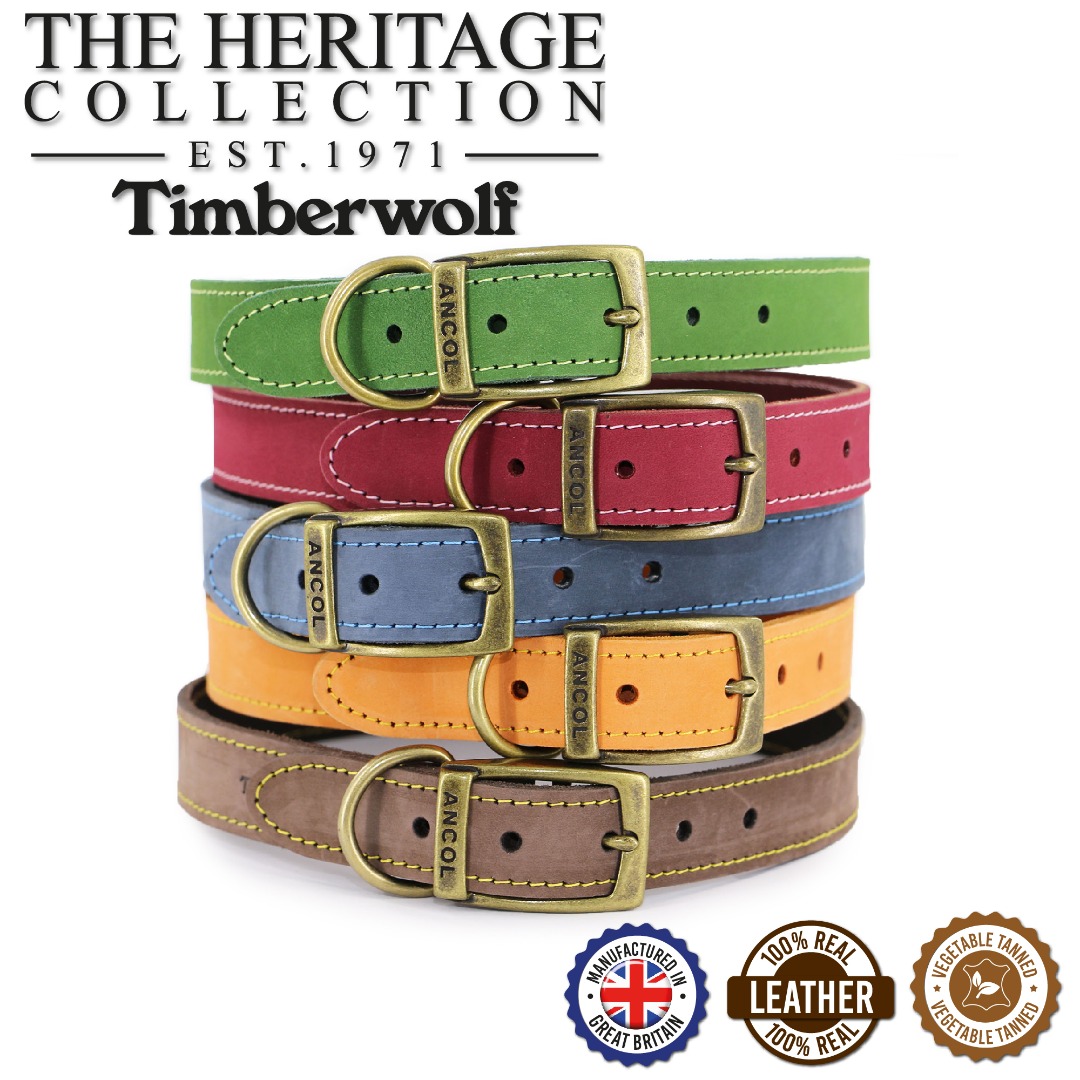Ancol Timberwolf Leather Dog Collar