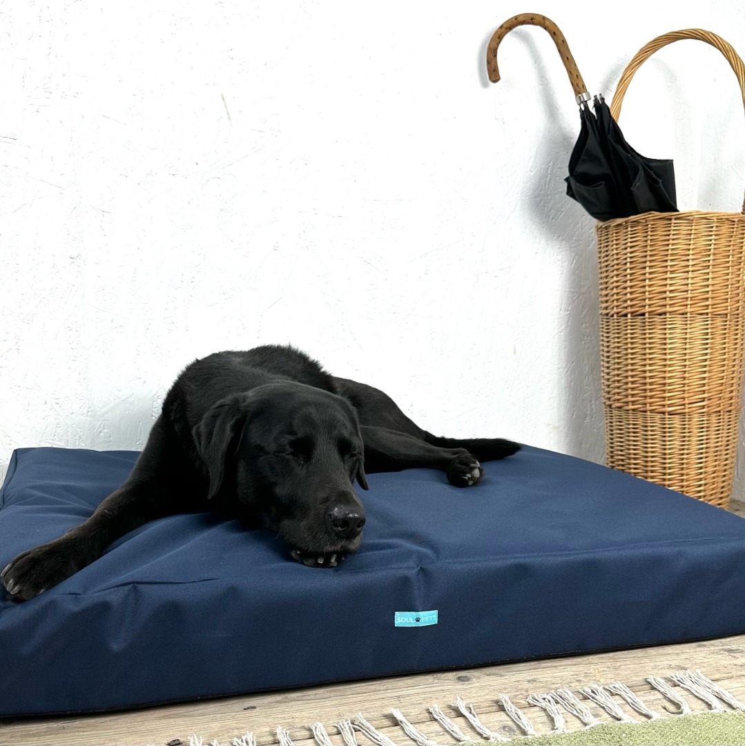 Navy Waterproof Orthopaedic Dog Mattress 14cm Thick Firm Dog Bed