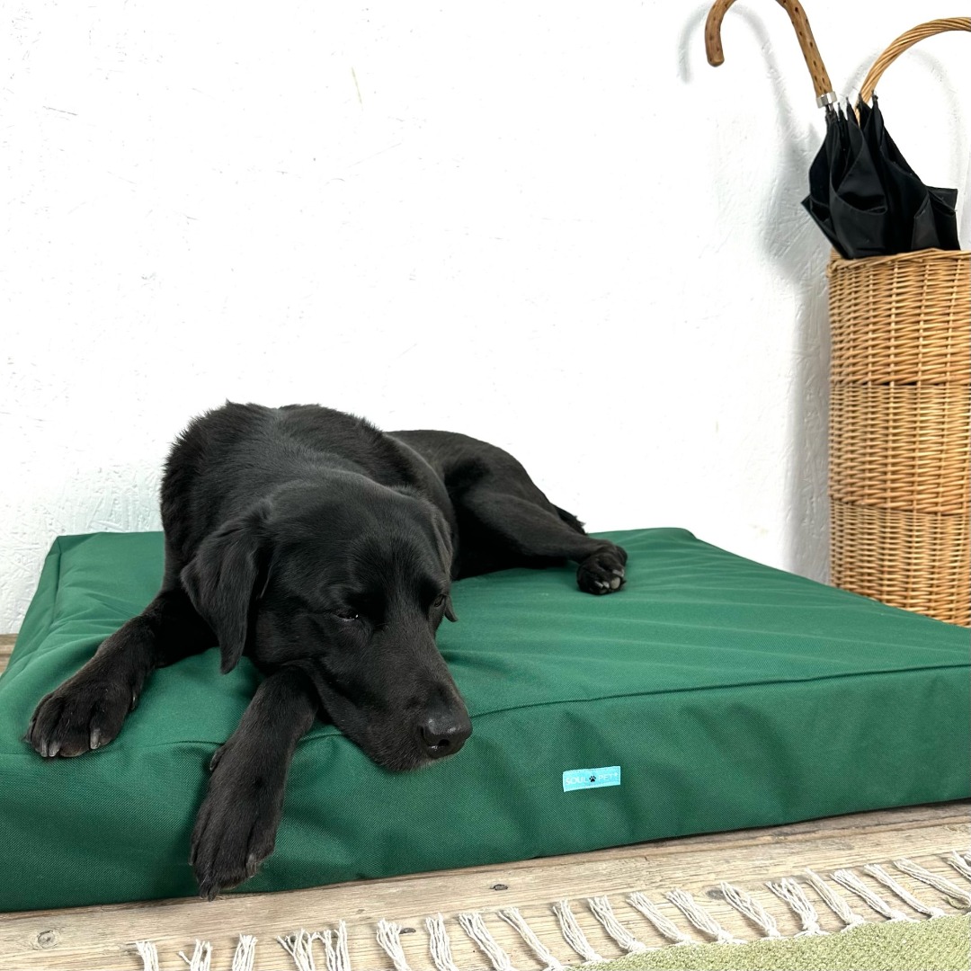 New Forest Green Waterproof Orthopaedic Dog Mattress 14cm Thick Firm Dog Bed
