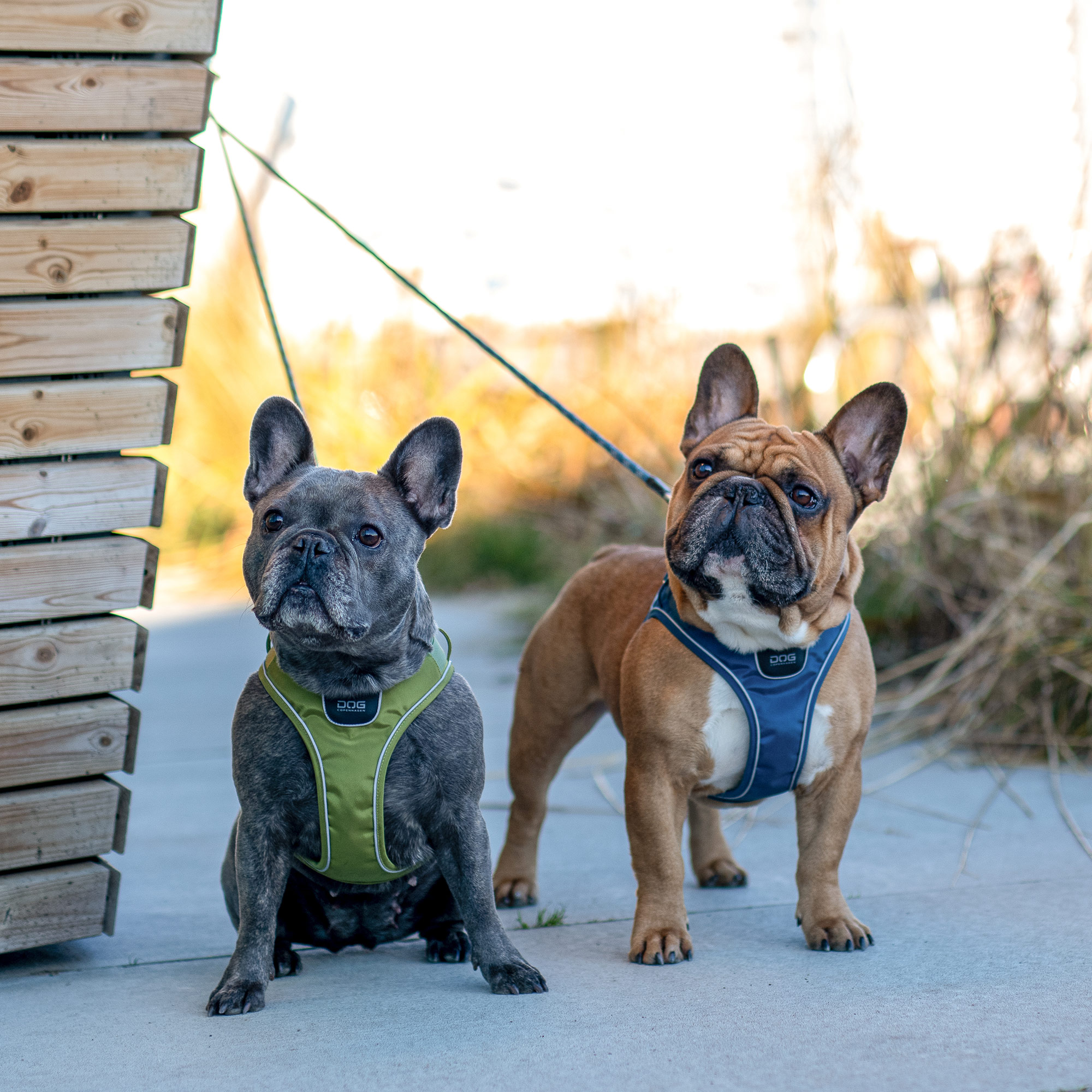 DOG COPENHAGEN Comfort Walk Go Harness DOG COPENHAGEN Comfort Walk Go Harness
