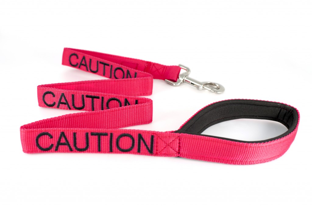 CAUTION DOG,  Dog Lead Leash with padded Handle  Red Colour Coded