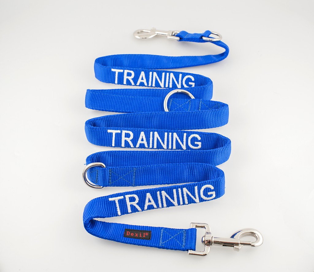 TRAINING DOG,  Dog Lead Leash with padded Handle  Blue Colour Coded