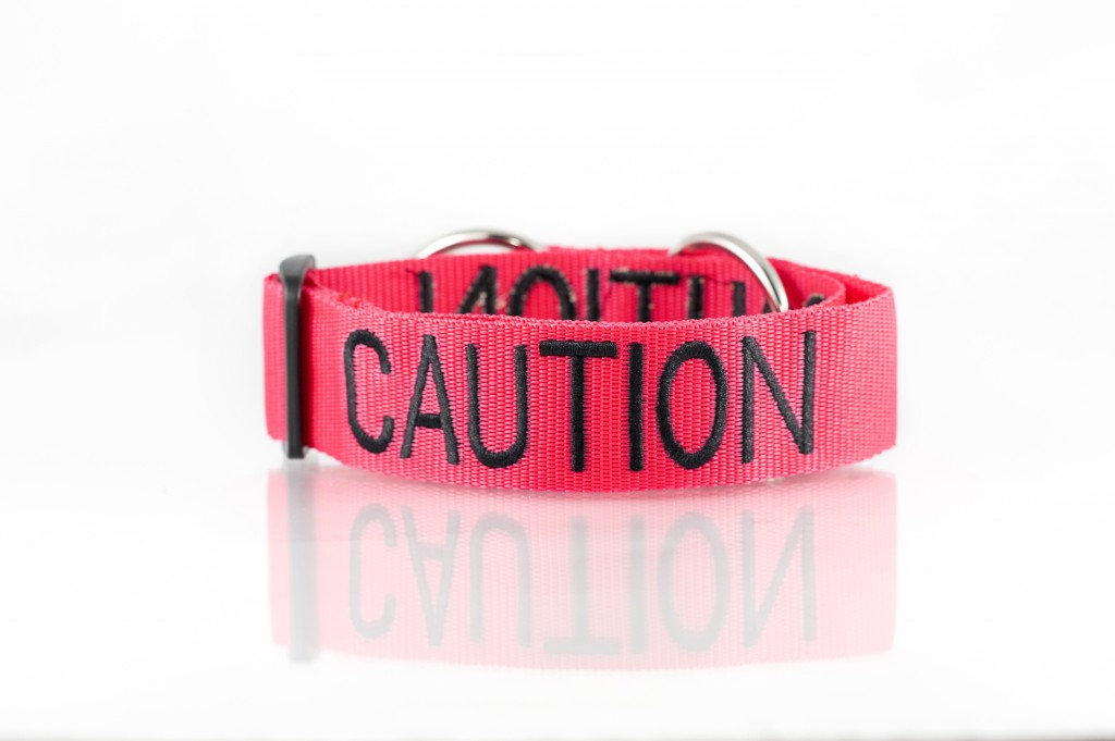 CAUTION DOG, Dog collar Semi Choke and Buckle Collars Red Colour Code
