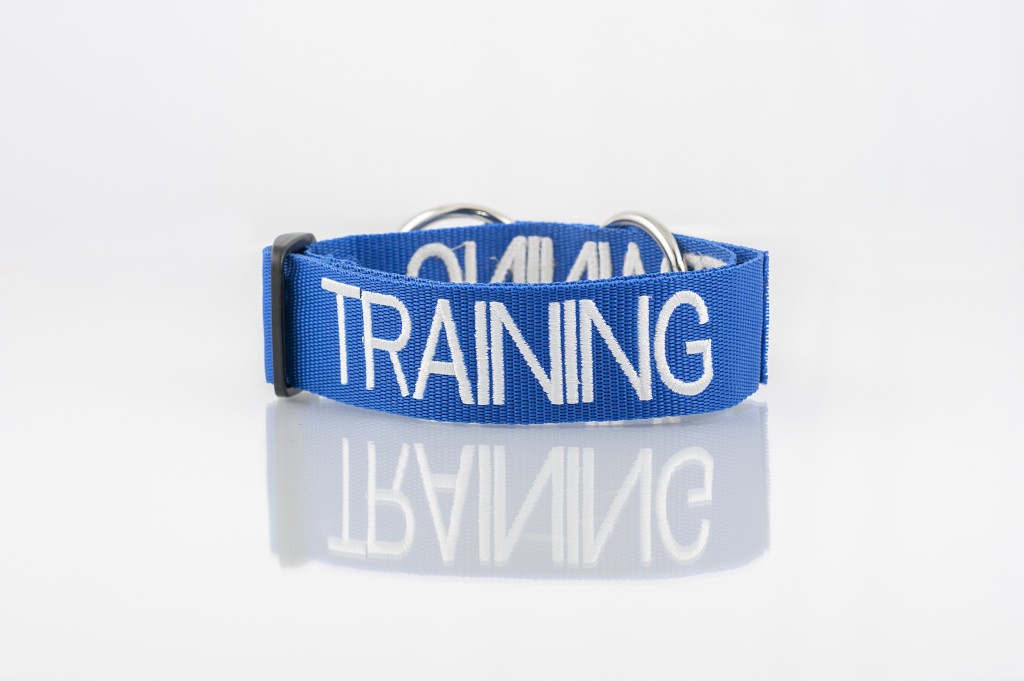 TRAINING DOG, Dog collar Semi Choke and Buckle Collars Blue Colour Code